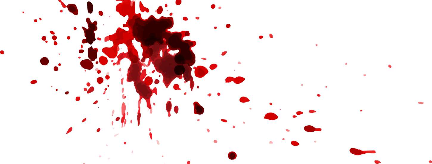 blood by aria d'amico
